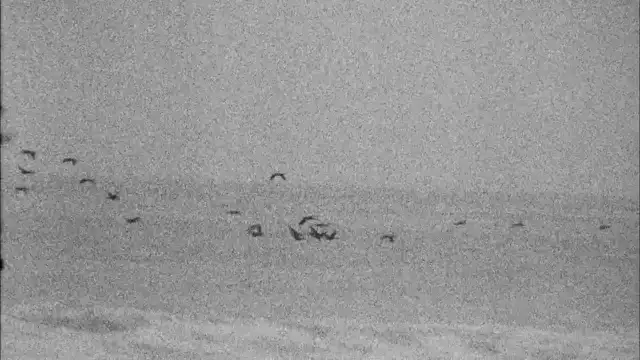 The War On Drugs - I Don't Live Here Anymore (feat. Lucius) [Official Music Video]