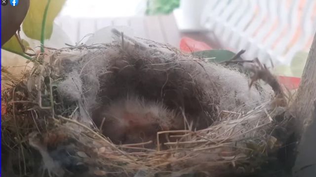 A blessing on our house