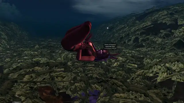 -Diving to the oyster reef