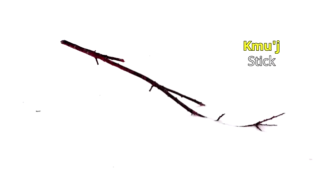 Level 1 Mi'kmaq: Video07 - Inanimate Nouns [UXUidJUkysY]