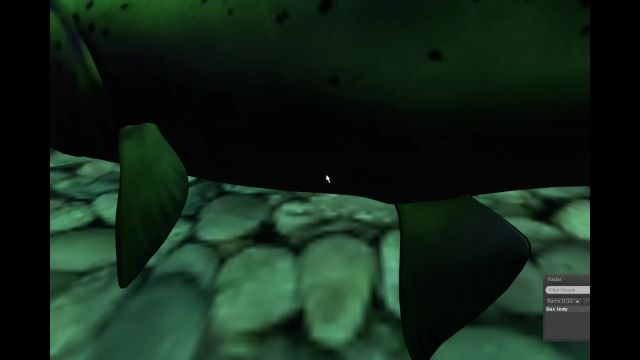 -Salmon in the river!