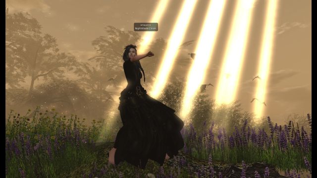 Lithatanz_schoeneslicht